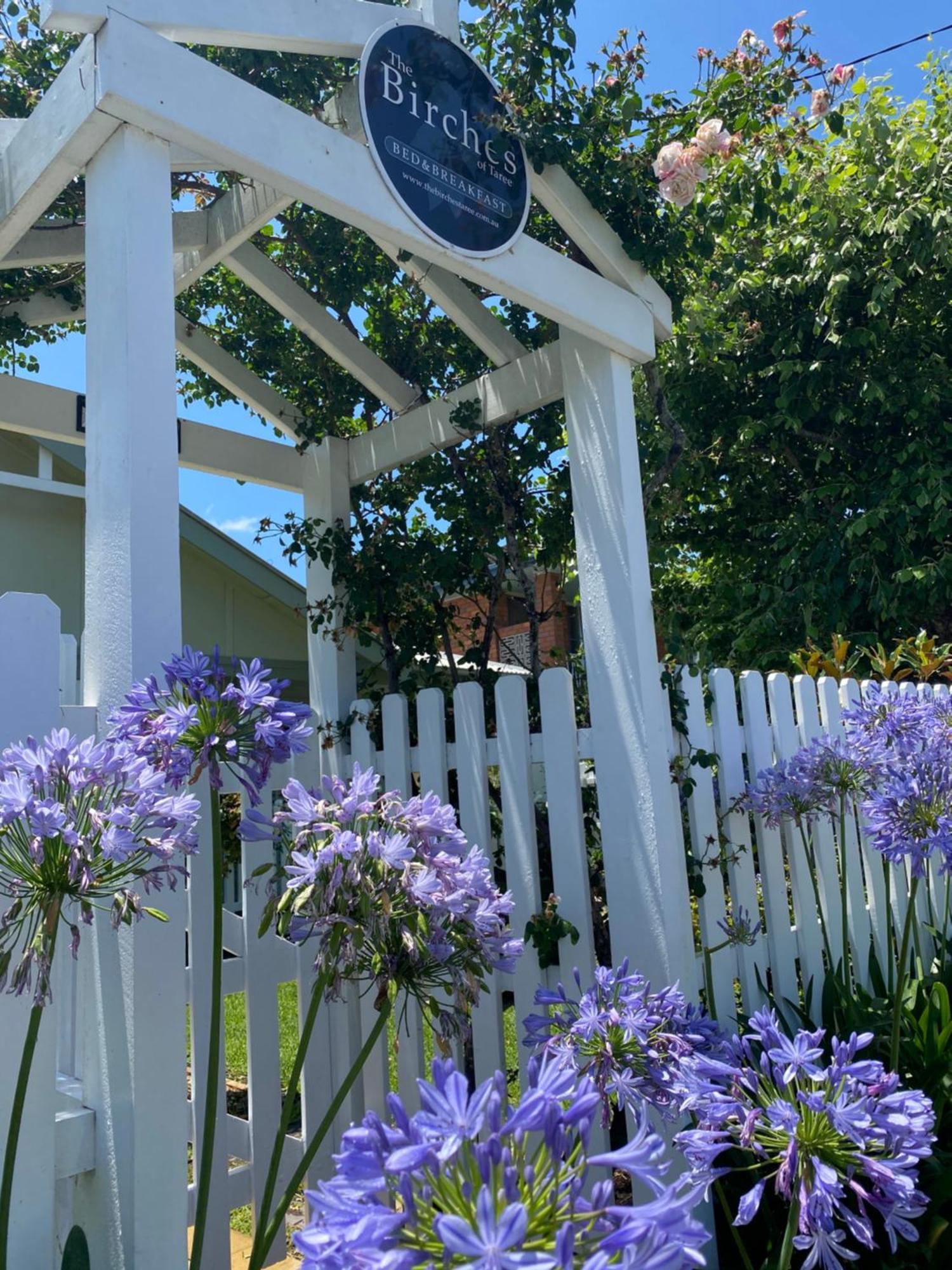 Birches B&B Taree Exterior photo