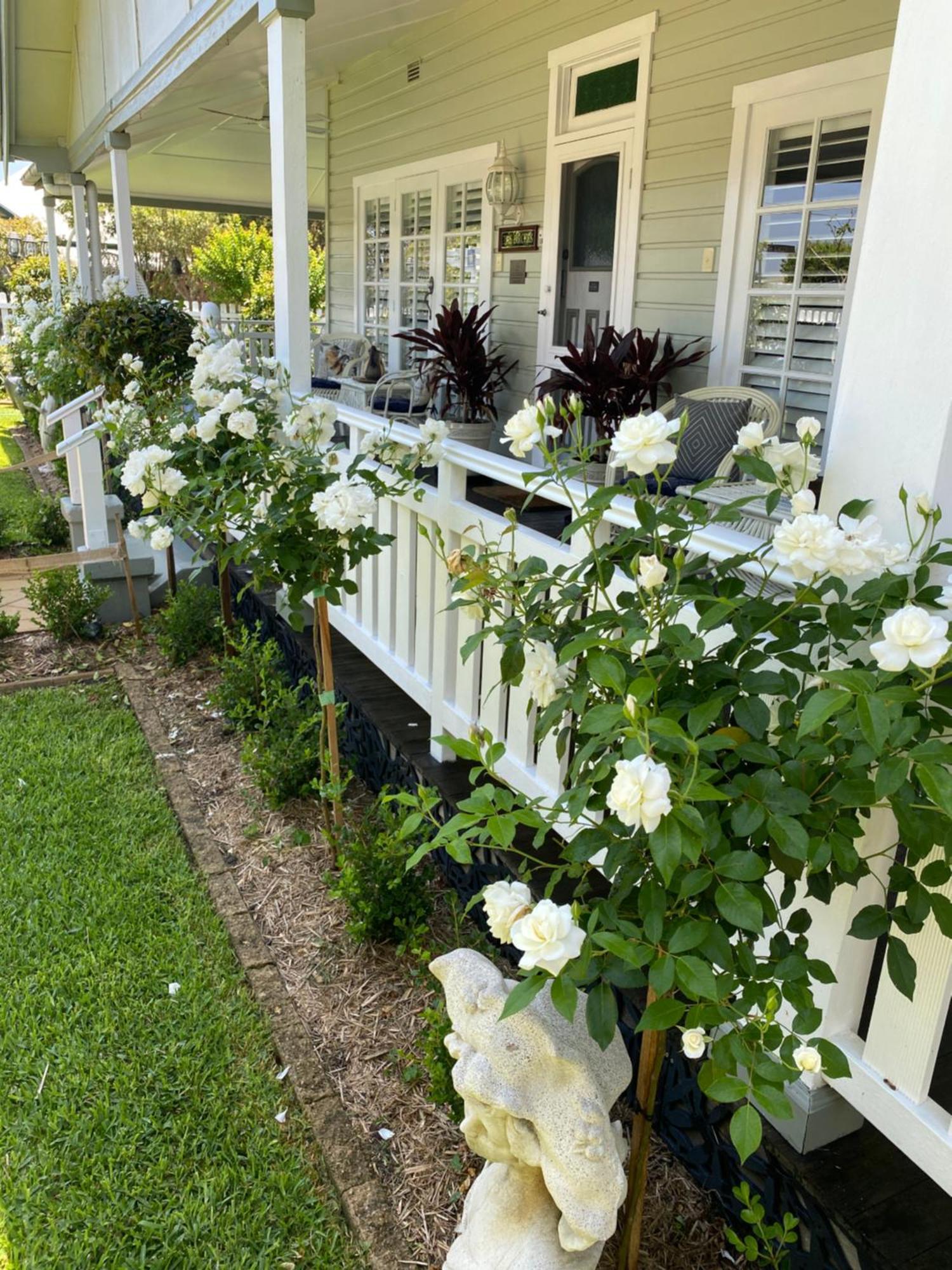 Birches B&B Taree Exterior photo
